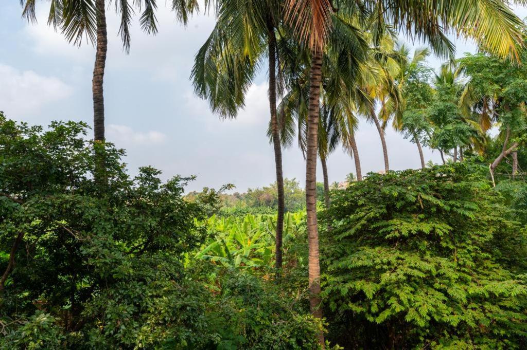 Saptami Hampi Homestay Dış mekan fotoğraf