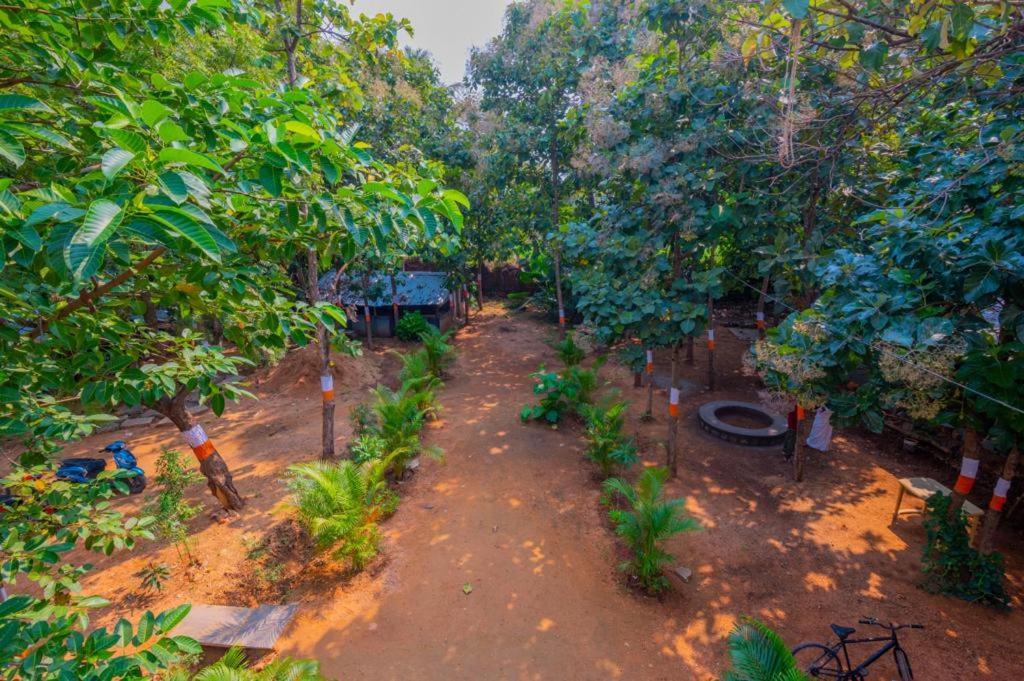 Saptami Hampi Homestay Dış mekan fotoğraf